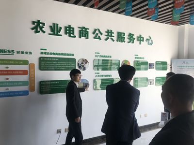 經(jīng)典電商化開(kāi)發(fā) 